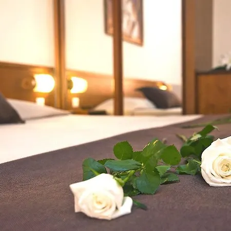 Готель Odyssia 4*